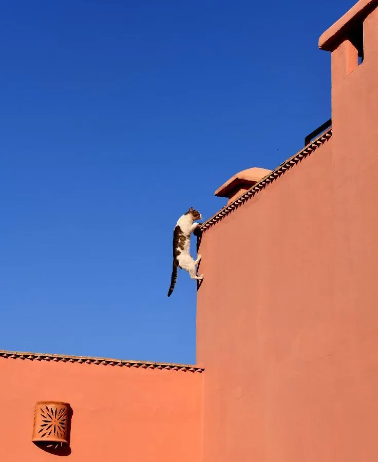 Riad Lamzia Hotel Marrakesh 3*,  Morocco